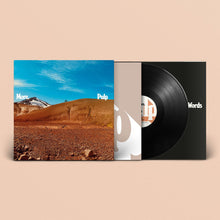 Load image into Gallery viewer, Pulp More