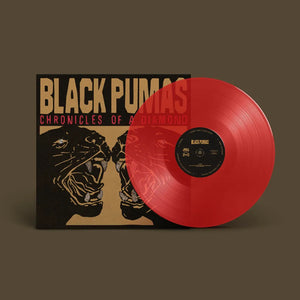 Black Pumas Chronicles of a Diamond