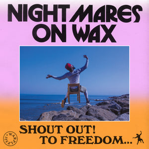 Nightmares on Wax Shout Out to Freedom